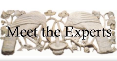 Meet the Experts, Logo der Ringvorlesung 2020